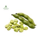 Green Broad Beans [ Bakulla ] बकुल्ला