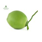 Green Coconut