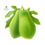 Green Papaya [ हरियो मेवा ] 1 Pcs