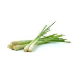 Lemon Grass