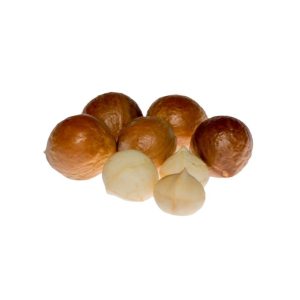 Macadamia Nut [म्याकाडमिया]
