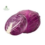 Red Cabbage [ रातो बन्दा ]