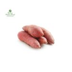Sweet Potato [ सखरखण्ड ]