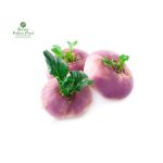 Turnip [सलगम]