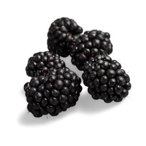 Blackberry [Mulberry] Kimbu